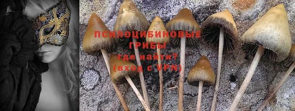 прущий лед Осинники
